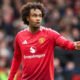 Zirkezee Manchester United